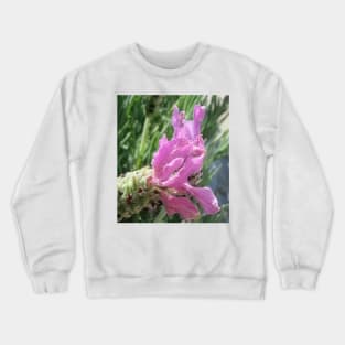 Lavender Crewneck Sweatshirt